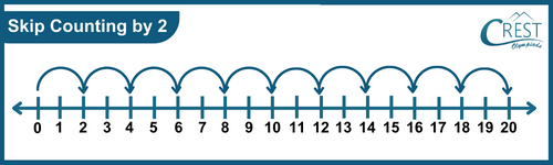 Skip counting by 2 for kg grade