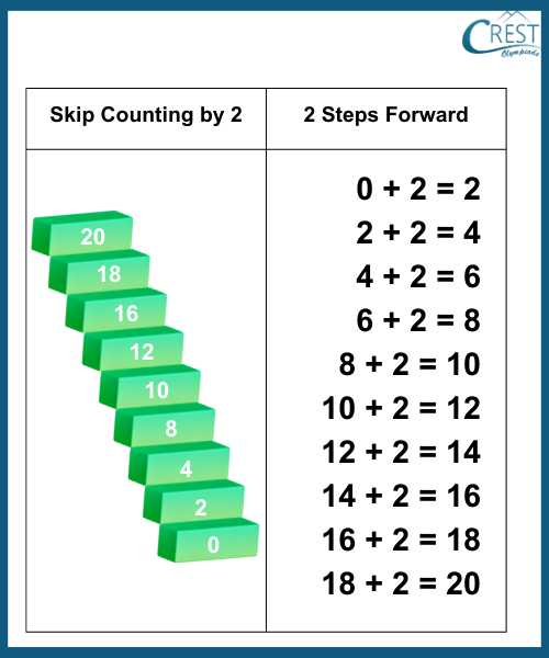 Explanation of Skip counting by 2