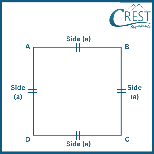 cmo-perimeter-c4-4