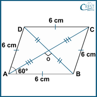cmo-quadrilateral-c9-12