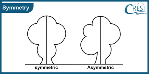 cmo-symmetry-c4-1