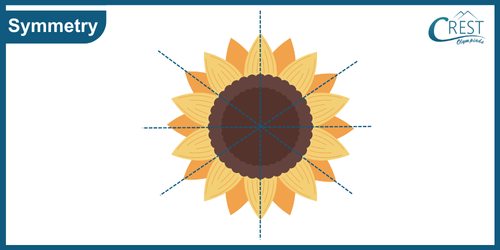 cmo-symmetry-c5-1