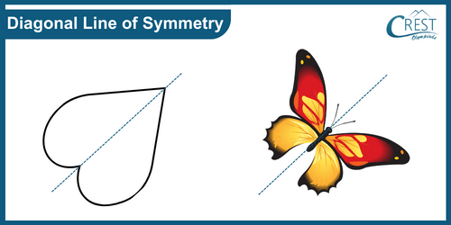 cmo-symmetry-c5-6