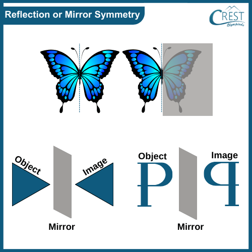 cmo-symmetry-c6-11