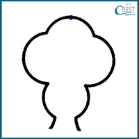 cmo-symmetry-c6-31
