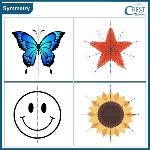 cmo-symmetry-c7-1