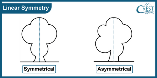 cmo-symmetry-c7-2