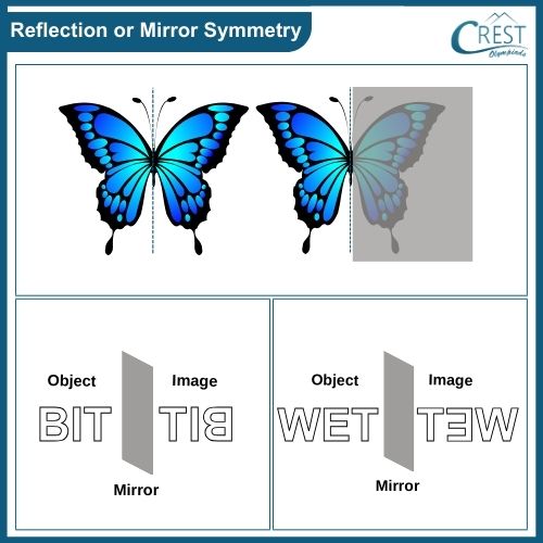 cmo-symmetry-c7-9