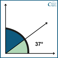 cmo-understanding-c6-23