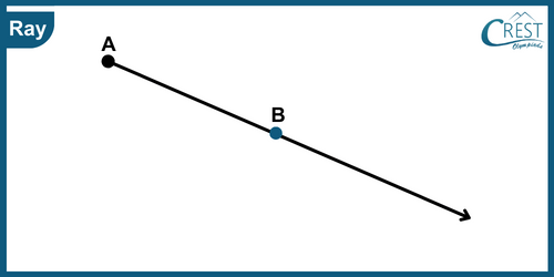 cmo-understanding-c6-3