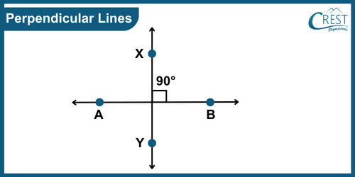 cmo-understanding-c6-6