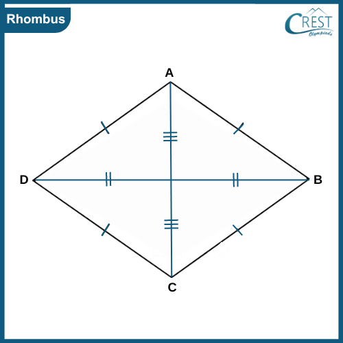 cmo-understanding-c8-8