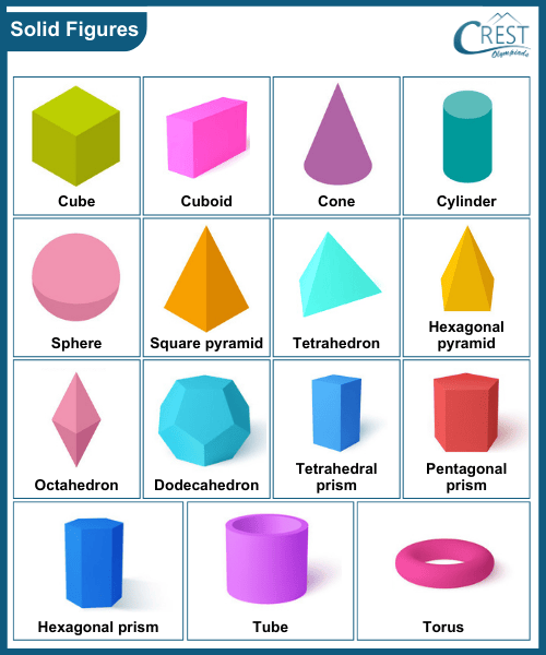 Visualising Solid Shapes Class 8 Notes Maths Olympiad