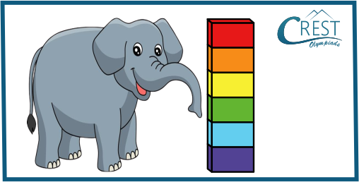 Elephants and blocks