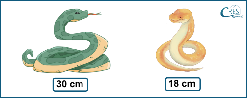 Snakes