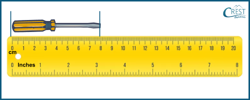 Screw and scale