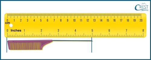 Comb and scale