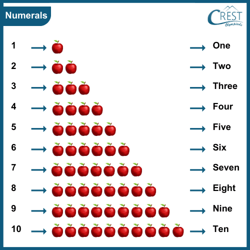 Numbers in Words