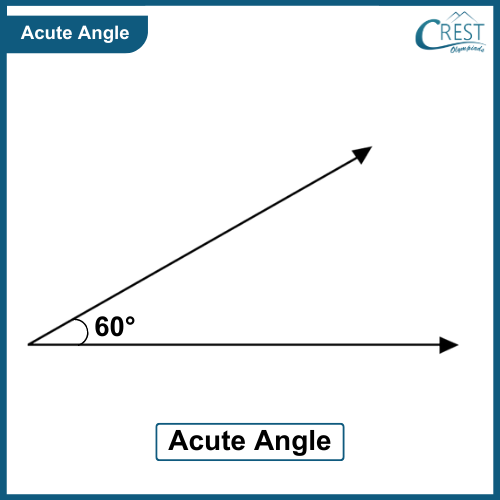 Lines And Angles - Definition, Types, Properties