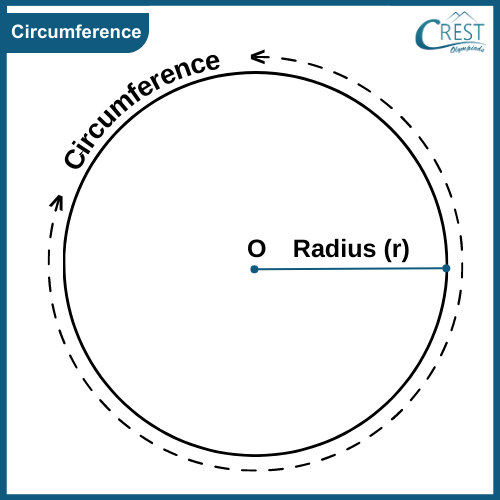 circumference of circle