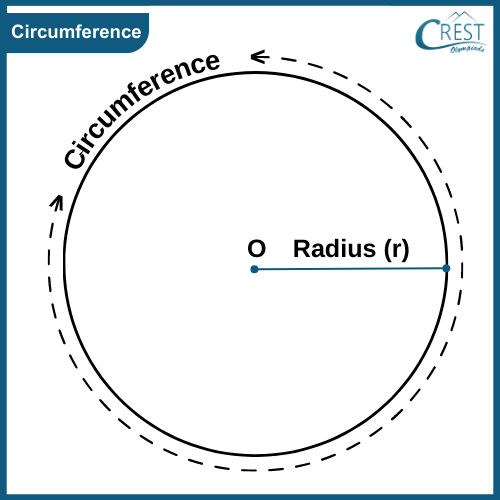 circumference