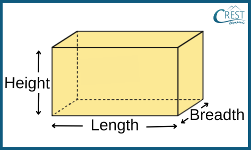 cuboid