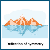 ice-burg-symmetry