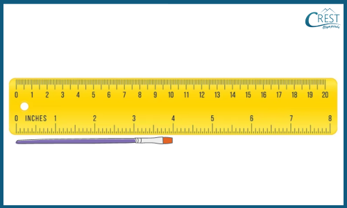 measurement-worksheet-q5