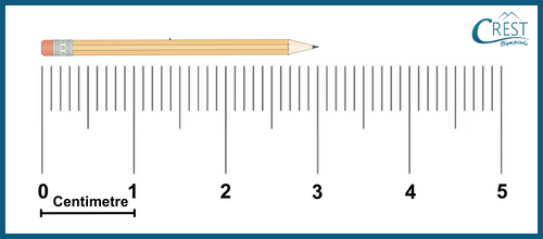 measuring objects using ruler3
