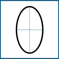 oval-symmetry