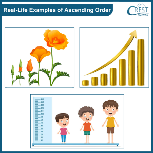 real-life-examples-of-ascending-order