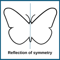 reflection-of-symmetry