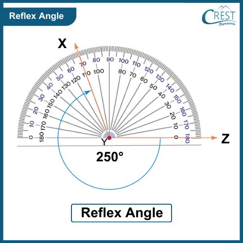 reflex-angle