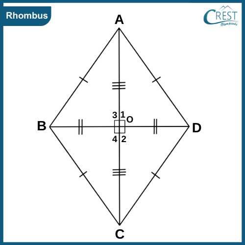 rhombus