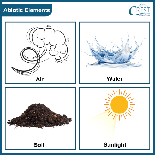 Abiotic elements of environment