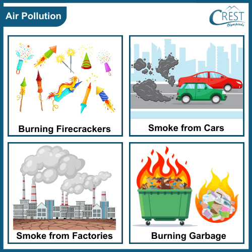 Different Types of Air Pollution - Science Grade 2