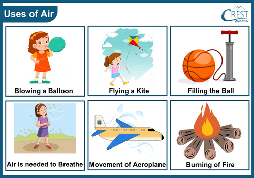 Different Uses of Air - Science Grade 2