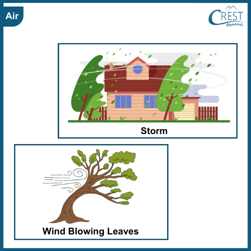Wind and Storm Blowing - Science Grade 2