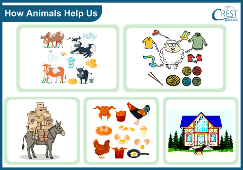 How Animals Help Us - CREST Olympiads