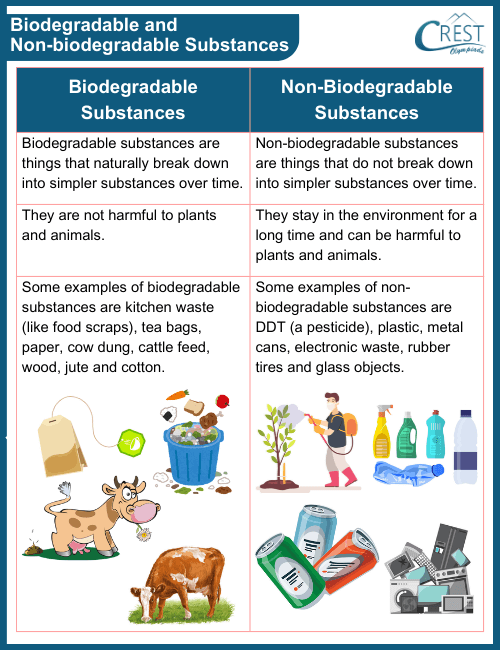 Difference between biodegradable and non biodegradable with examples