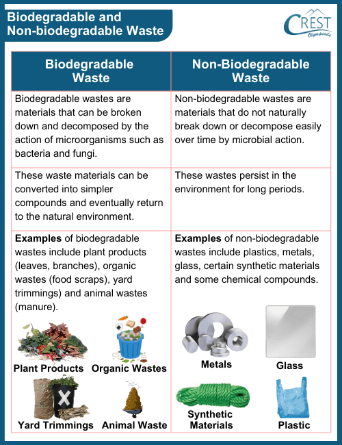 Differences between Biodegradable and Non-biodegradable Wastes with Examples