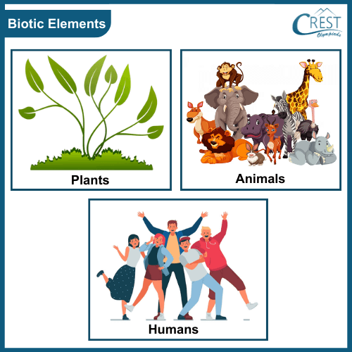 Biotic elements of environment
