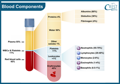 blood-components10