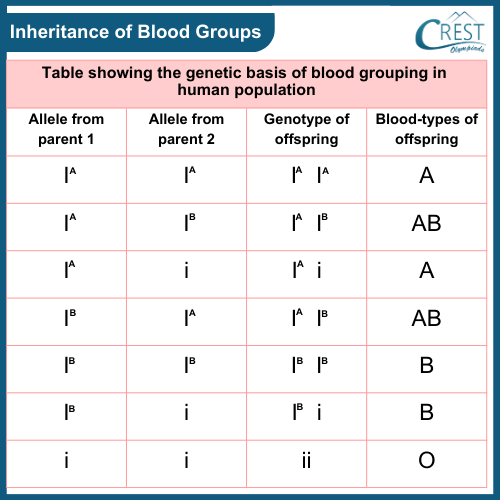 Inheritance of Blood Groups - CREST Olympiads
