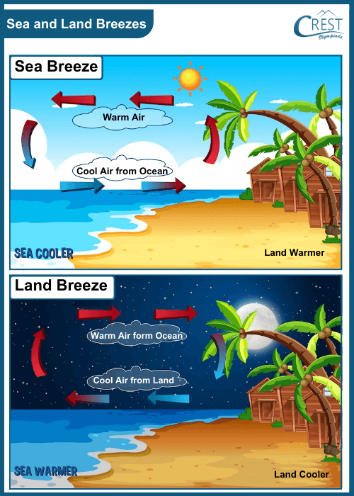 Sea and Breezes - Coastal Winds, Oceanic Airflows