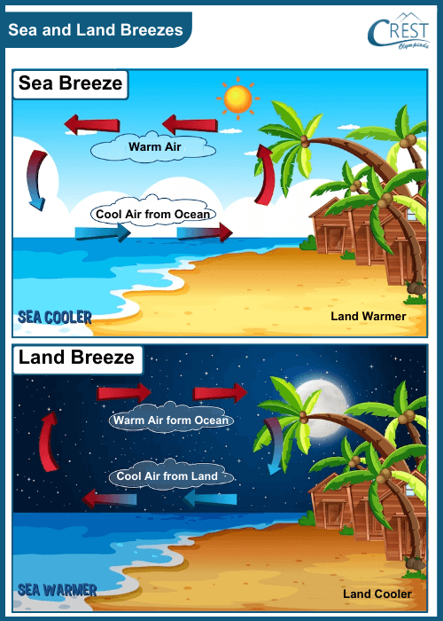 Diagram of Sea and Land Breezes - CREST Olympiads
