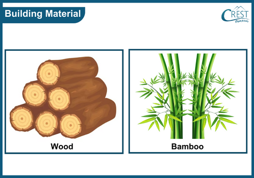 Plants used for building and construction