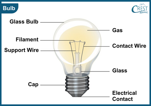 Diagram of Bulb - Science Grade 6