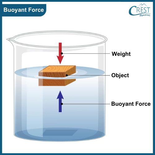 Example of Buoyant Force
