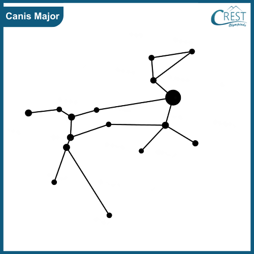Celestial Bodies - Canis Major